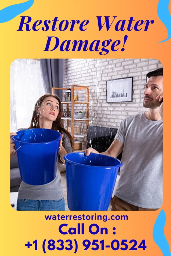 water restoration Solid Water Removal Professionals Jameson