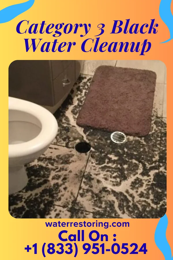 Category 3 Black Water Cleanup in Jameson, MO