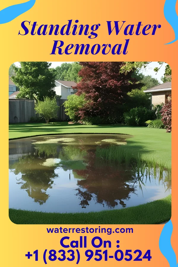 Standing Water Removal in Jameson, MO